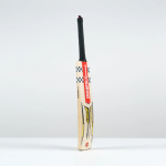 Victus Players Cricket Bat - Adult