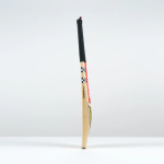 Victus Players Cricket Bat - Adult