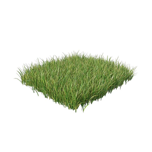 Grass-Fed Ground Beef