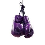 ThriveX Purple Training Gloves