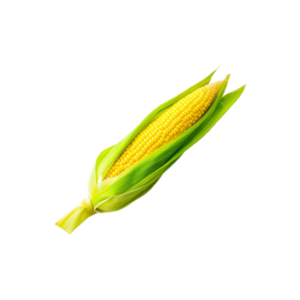 Sweet Corn